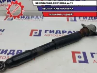 Амортизатор задний Volkswagen Passat B6 3C0513049BN.
