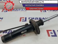 Амортизатор передний Volkswagen Passat B6 3C0413031BA.