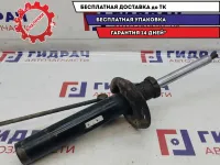 Амортизатор передний Volkswagen Passat B6 3C0413031BA.
