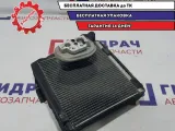 Испаритель кондиционера Volkswagen Passat B6 3C1820103B.