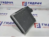 Испаритель кондиционера Volkswagen Passat B6 3C1820103B.