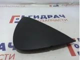 Накладка торпедо правая Volkswagen Passat B6 3C1858218A.