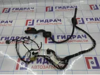 Проводка (коса) двери передней левой Volkswagen  Polo Sedan (Mk5) 6RU971120D.
