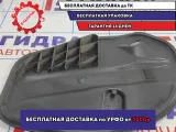 Заглушка двери передняя правая Volkswagen Polo Sedan (Mk5) 6R4837916.