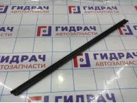 Уплотнитель стекла двери переднего левого Volkswagen Polo Sedan (Mk5) 6RU8374795AP.