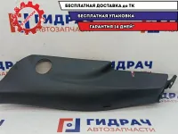 Обшивка стойки задняя левая нижняя Volkswagen Polo 6 5JA867765B9B9.