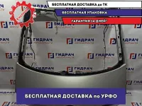 Дверь багажника Volkswagen Polo 6 .