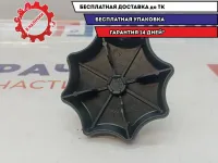 Болт крепления запасного колеса Volkswagen Polo 6 6Q0803899A.