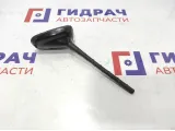 Антенна Volkswagen Polo 6 6C0035501P5FQ.
