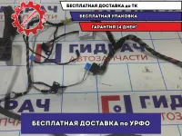 Проводка (коса) двери передней левой Volkswagen Polo Sedan (Mk5) 6RU971120Q.