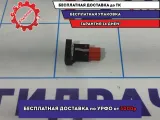 Кнопка обогрева заднего стекла Volkswagen Polo Sedan (Mk5) 6R0959621A.