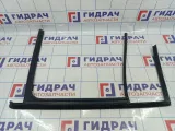 Направляющая стекла двери заднего левого Volkswagen Tiguan (NF) 5N0839431H5AP