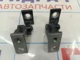 Петли двери задней левой Volkswagen Tiguan (NF)
