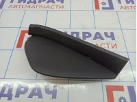 Накладка декоративная на торпедо правая Volkswagen Tiguan (NF) 5N0858218B82V