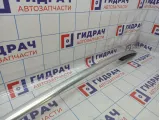 Рейлинг левый Volkswagen Tiguan (NF) 5N0860043GZAQ