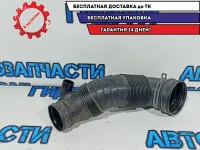 Патрубок воздушного фильтра Volkswagen Tiguan 5N0129656.