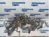 Проводка Volkswagen Tiguan.