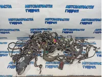 Проводка Volkswagen Tiguan.