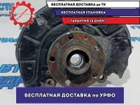 Кулак поворотный передний левый Volkswagen Tiguan 1K0407255AA.