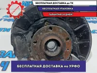 Кулак поворотный передний правый Volkswagen Tiguan 1K0407256AA.
