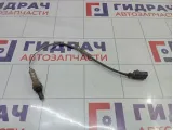 Датчик кислородный нижний Volkswagen Golf (Mk6) 06A906262BS