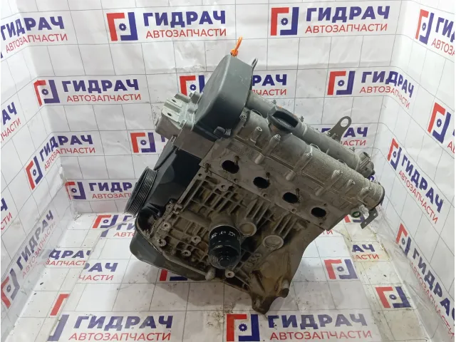 Двигатель Volkswagen Golf (Mk6) 036100038L