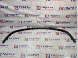 Накладка переднего бампера Volkswagen Golf (Mk4) 1J0807719AGRU