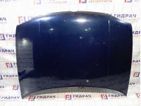 Капот Volkswagen Golf (Mk4) 1J0823031B