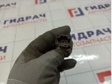 Кнопка открывания лючка бензобака Volkswagen Golf (Mk4) 3B0959833A