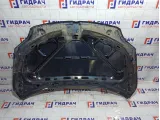 Капот Volkswagen Golf 5M0823031F