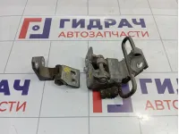 Петли двери передней правой Volkswagen Golf