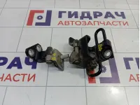 Петли двери задней правой Volkswagen Golf