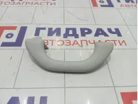 Ручка потолочная Volkswagen Golf 1K0857607MY20