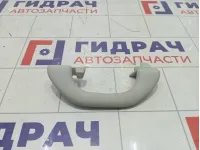 Ручка потолочная Volkswagen Golf 1K0857607NY20