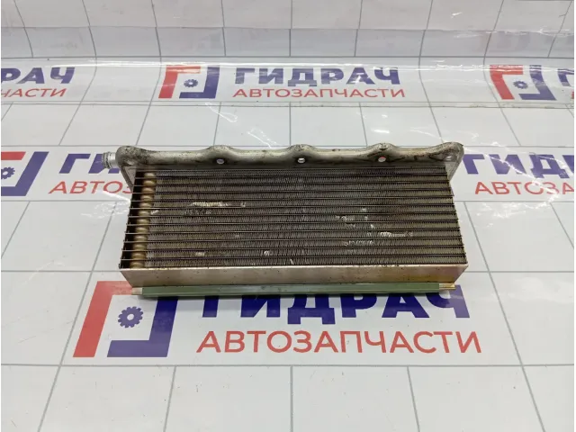 Интеркулер Volkswagen Golf 04E145749B