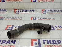 Патрубок воздушного фильтра Volkswagen Golf Plus (Mk5) 1K0129684