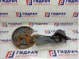Кулак поворотный задний левый Volkswagen Golf Plus (Mk5) 1K0505435AB