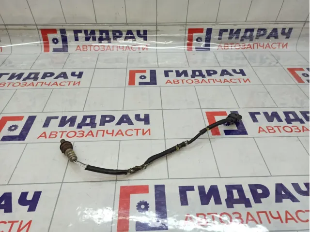 Датчик кислородный Volkswagen Golf Plus (Mk5) 06A906262BS