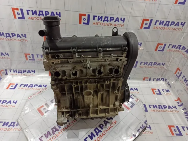 Двигатель Volkswagen Golf Plus (Mk5) 06A100043P