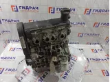 Двигатель Volkswagen Golf Plus (Mk5) 06A100043P