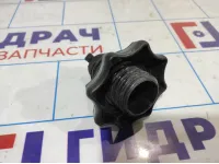 Болт крепления запасного колеса Volkswagen Jetta (A6) 1K0803899D.