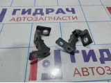 Петли двери передней правой Volkswagen Jetta (A6)