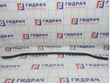 Уплотнитель капота Volkswagen Jetta (A6) 5C6823723