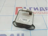 Радиатор масляный Volkswagen Jetta (A6) 03F117021A.