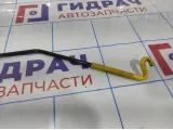 Держатель капота Volkswagen Jetta (A6) 5C6823361F.