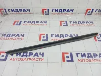Уплотнитель стекла переднего левого Volkswagen Passat 3B0837471CB41