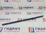 Уплотнитель стекла переднего левого Volkswagen Passat 3B0837471CB41