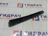 Накладка двери задней левой Volkswagen Passat 3B0839901H041