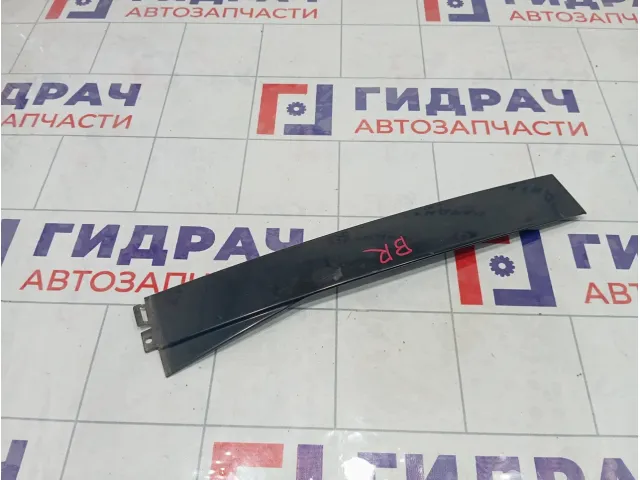 Накладка двери задней правой Volkswagen Passat 3B9839902041