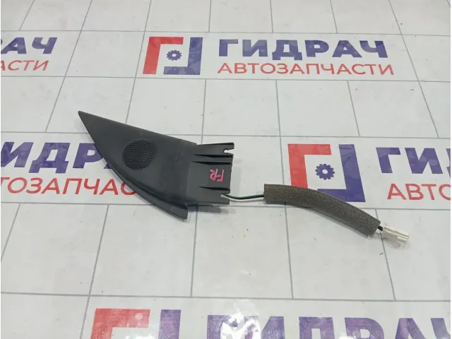 Крышка зеркала внутренняя правая Volkswagen Passat 3B0837994A2AQ